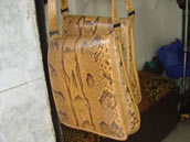 Thumbnail Image 1